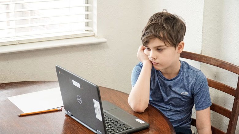 A child stares at a laptop.