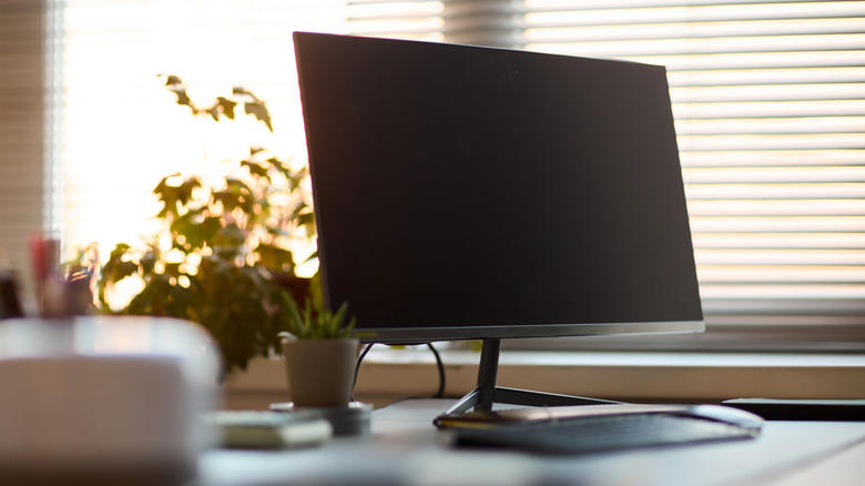 Computer monitor, keyboard and plant on a desk in front of a window.