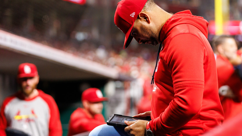 Photo of a St Louis Cardinals coach wearing a red cap and hoodie looking down at an iPad, the dugout visible but blurred behind him.