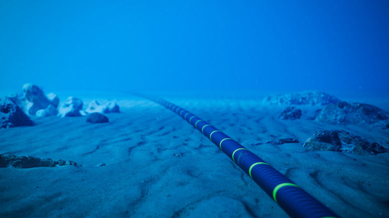 An artists rendering shows a black and green internet cable extending across the ocean floor.