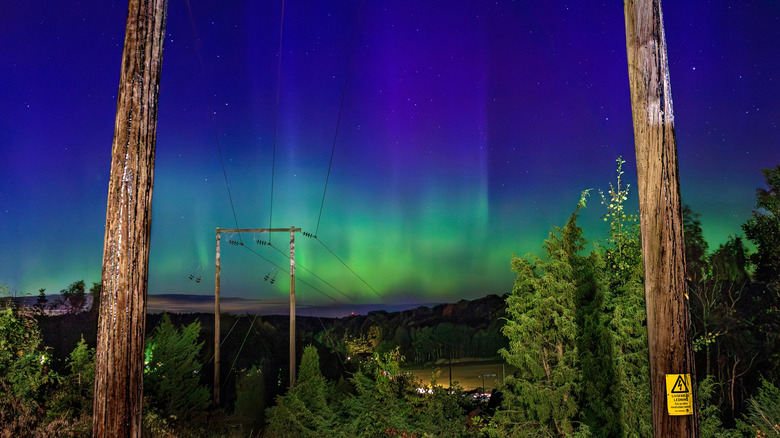An bright green aurora shines over a series of powerlines in Brastad, Sweden