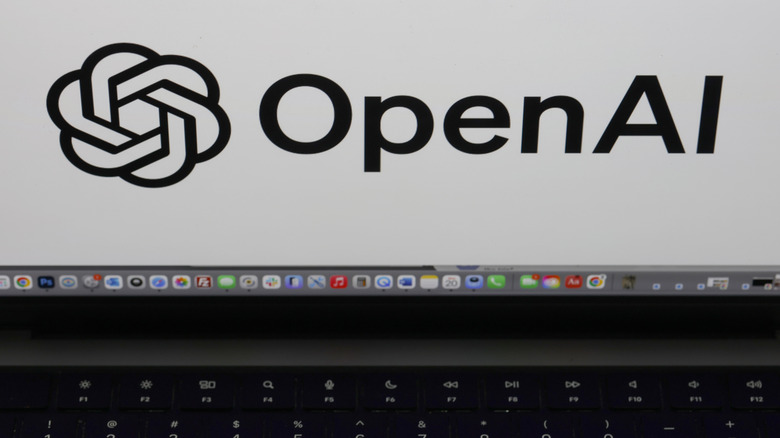 The OpenAI logo in black text against a white background on a laptop display.