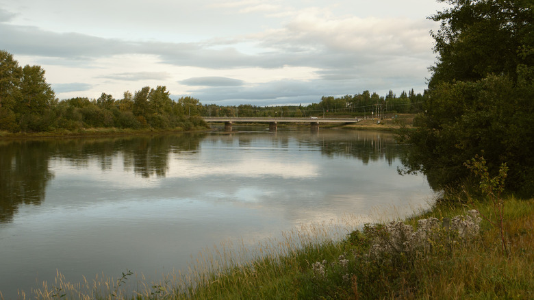 A of a river with a bridge in the background taken with the Panasonic Lumix L10 with the L.Classic Gold setting