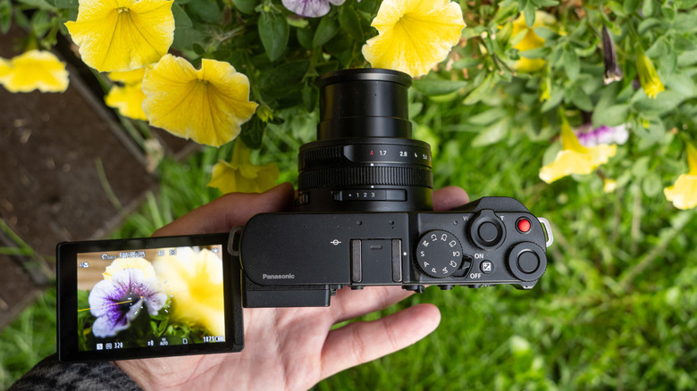 Panasonic's Lumix L10 is shown from the top amongst yellow flowers with the screen flipped out
