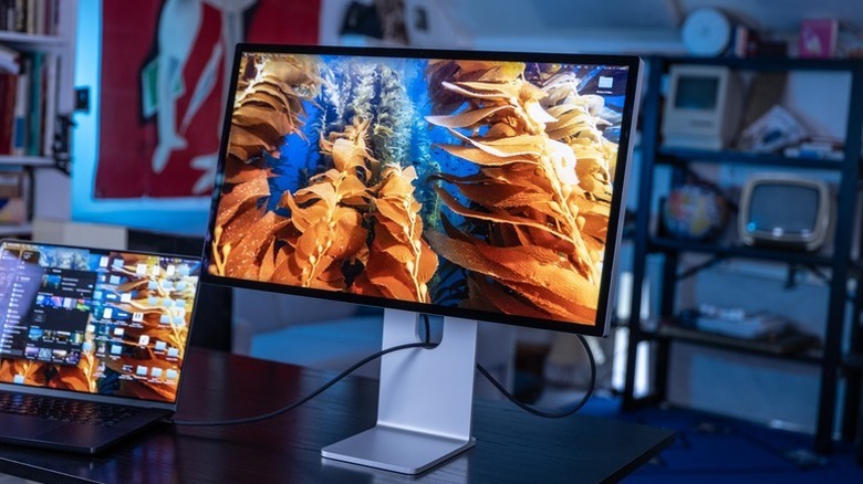 The Apple Studio Display XDR used with a MacBook.