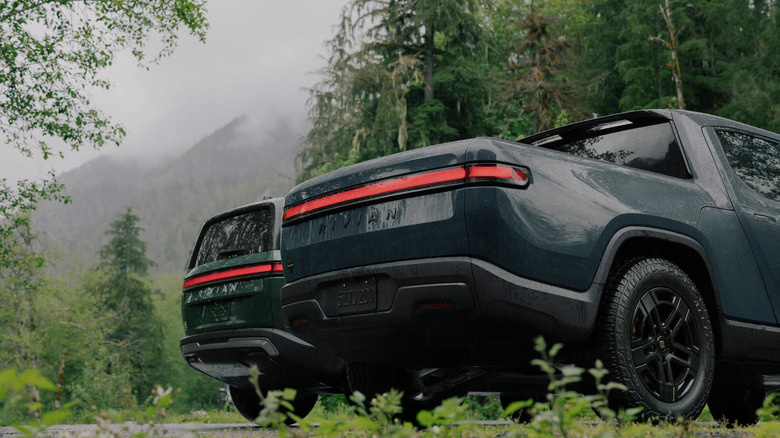 Two vehicles in the forest.