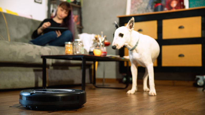 Foreground shot of a robot vacuum with someone sitting on a couch and a dog in the background.