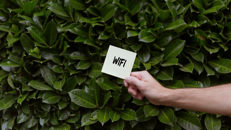 A person's hand holding a note with 'WiFi' written on it against a backdrop of green leaves.