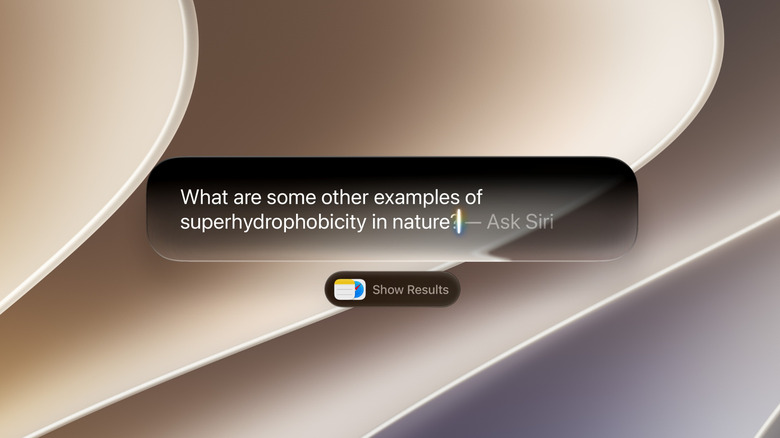 A screenshot showing the Spotlight feature in a Mac.