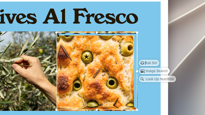 A screenshot of the new Visual Intelligence interface on a Mac.