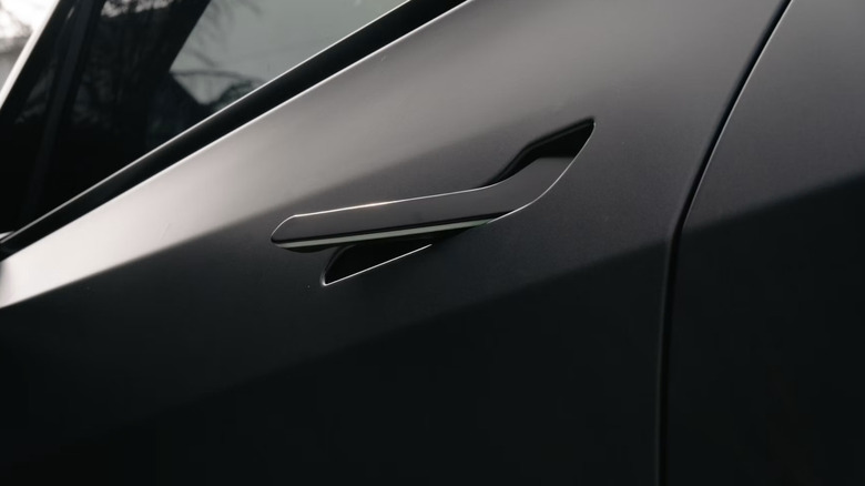 A close-up of a Tesla Model Y door.