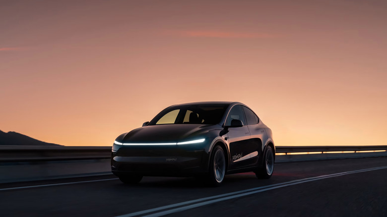 A Tesla Robotaxi in a Model Y.