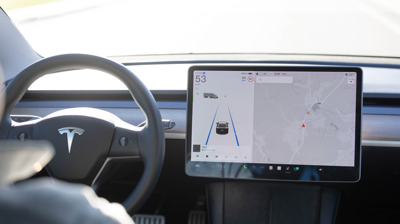 A Tesla Model 3 driver using Autopilot.
