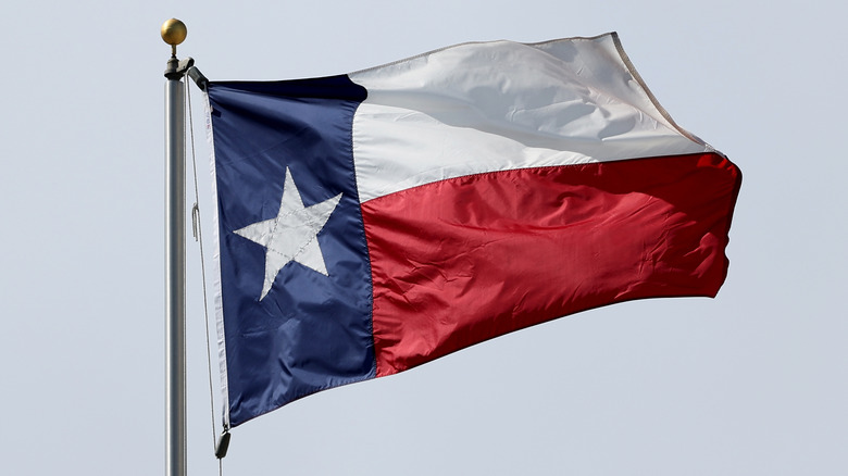 Photo of the Texas state flag waving from a flagpole on an overcast day.