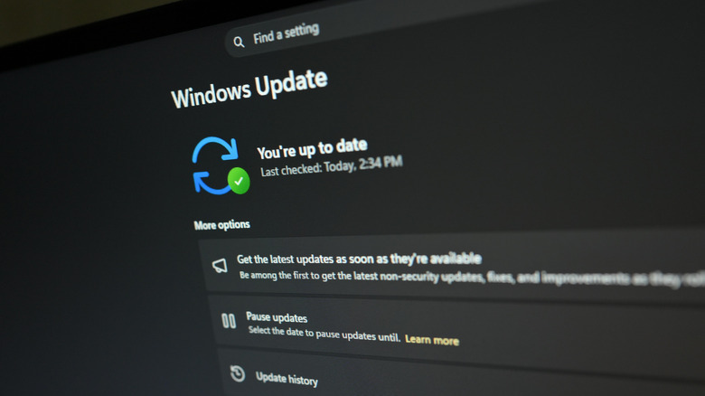 Close-up of the Windows Update section of the Windows 11 Settings app.