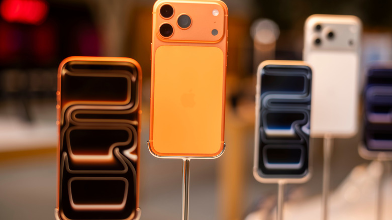 iPhone 17 models on display