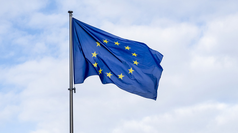 European Union Flag