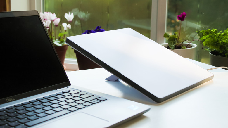 A Dell laptop beside a Starlink Mini dish on a desk near a window, with flowerpots behind.