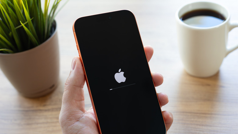A person holding an iPhone 17 with a plant pot and a cup of coffee in the background
