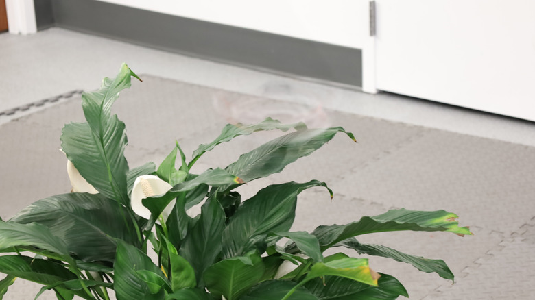 A barely-visible drone spins so fast that it blends in with its office background, showing a faint tornado-esque outline against the visage of a pale grey floor and a potted plant.