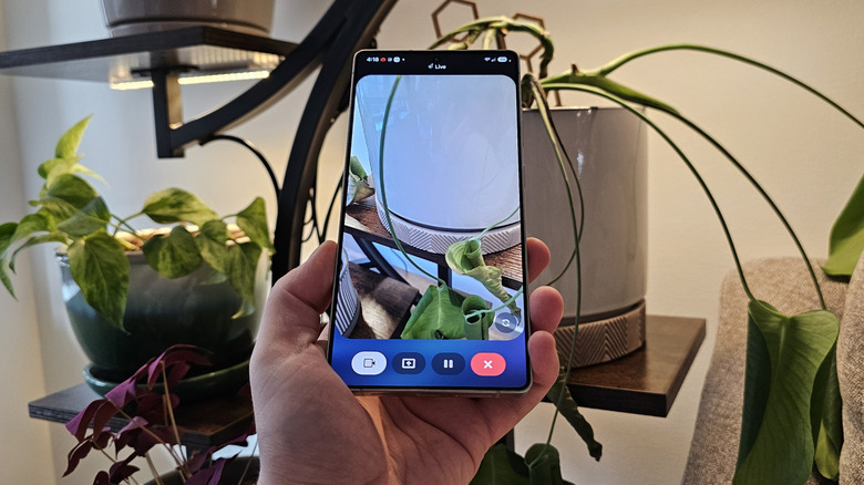 Samsung Galaxy S25 Ultra in hand with plants in background.