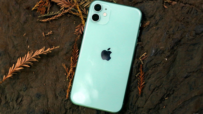 The back of an iPhone 12 resting on the ground.