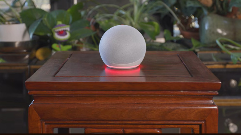 An Amazon Echo device placed on a small wooden table before a background of green plants glows red.