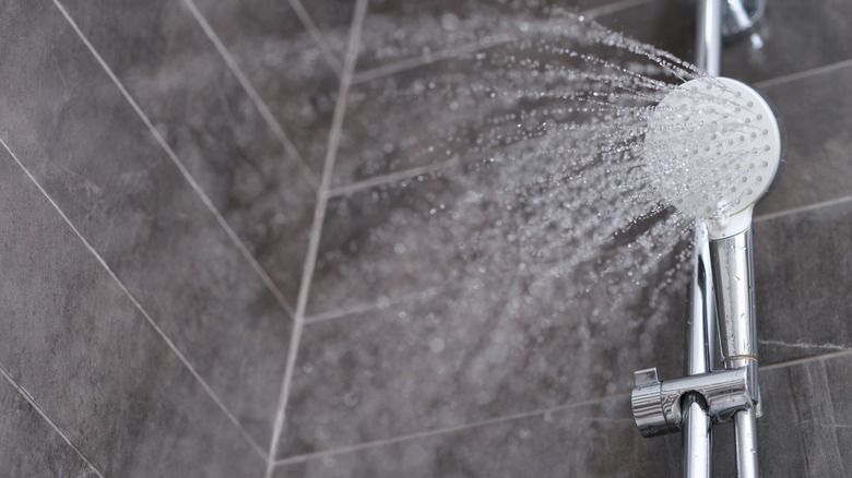 Image of a showerhead.