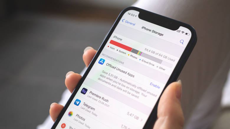 The iPhone Storage screen showing the space usage breakdown.
