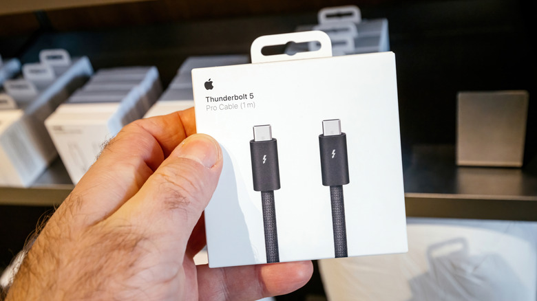 Customer holding up a Thunderbolt 5 package with several Thunderbolt options in the background.