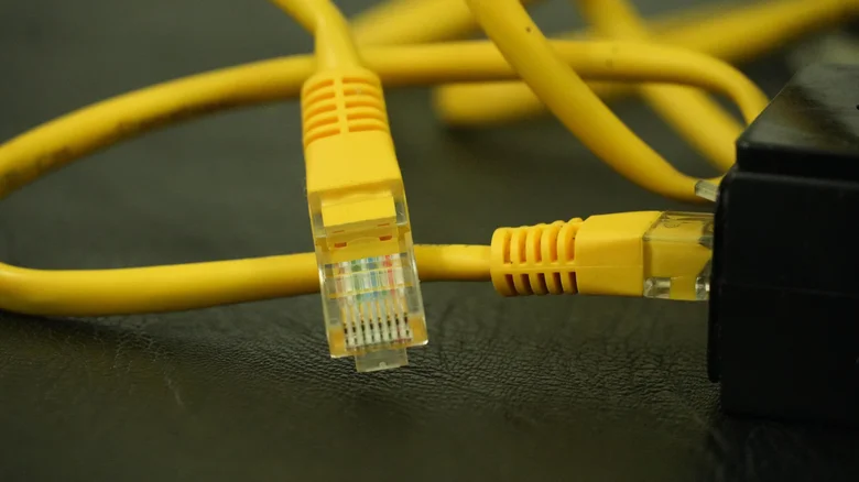 Yellow Ethernet cables connecting to a device.
