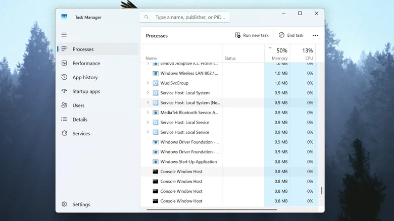 The Windows Task Manager window, showing a list of running processes.