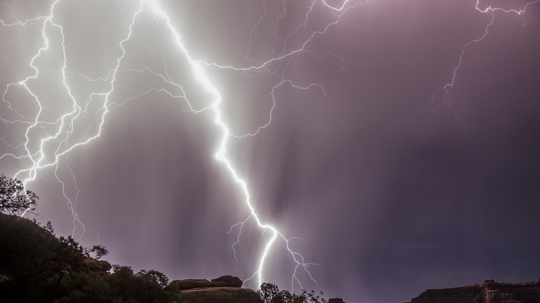 Massive lightning bolt in a dark sky, spread out like a web.