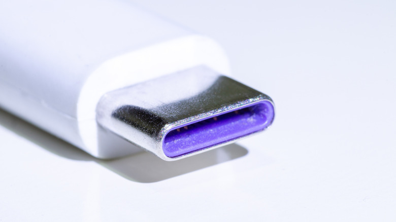 A USB-C connector with purple plastic on the interior is shown