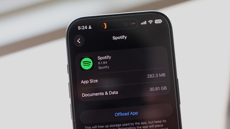 Spotify storage usage screen on iPhone.