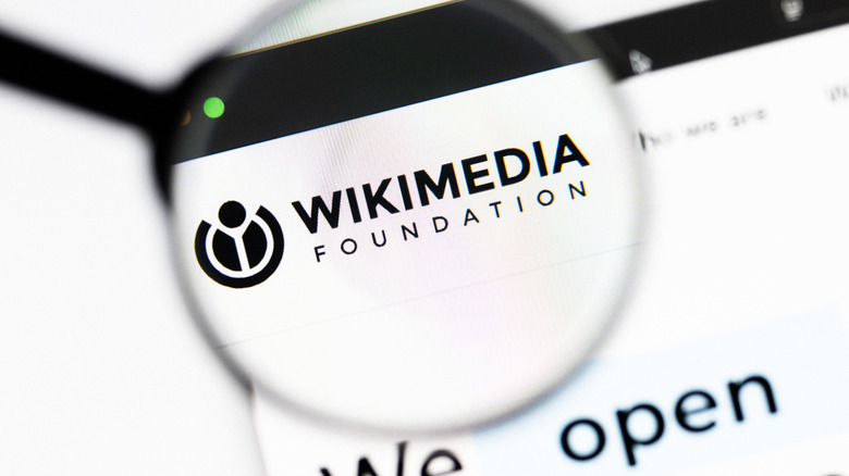 Wikimedia Foundation logo under a magnifying glass.