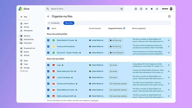 A screenshot showing the Organize my files interface.