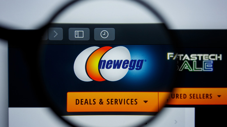 A photo of the Newegg website magnified on a laptop.
