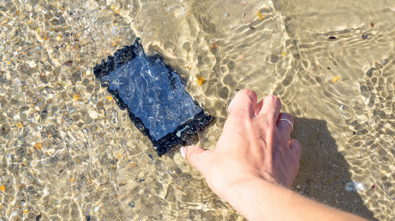 A phone that's fallen in the water at the beach