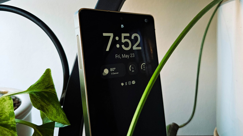 Samsung Galaxy S25 Ultra posed with plants