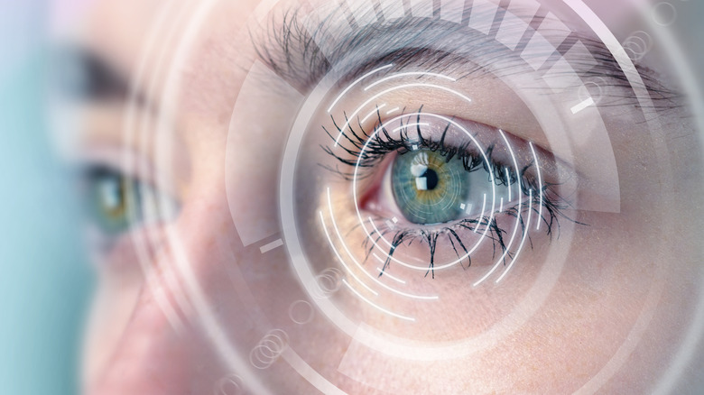 A person's blue-green eye surrouned by digital surveillance lens.