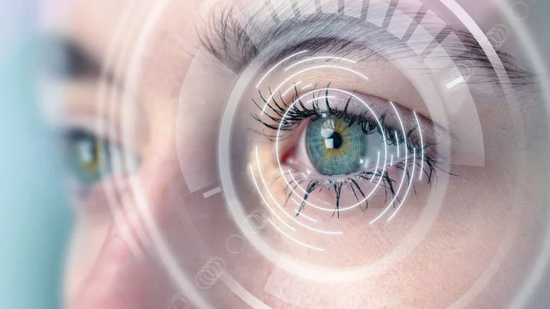 A person's blue-green eye surrouned by digital surveillance lens.