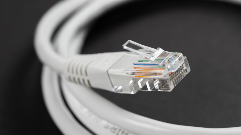 A white Ethernet cable wrapped in a circle, showing its connector close-up.