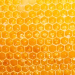 bizarre-food-facts-hard-believe