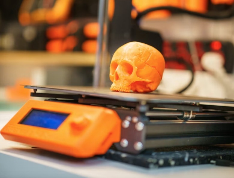 A skull on a printer bed.