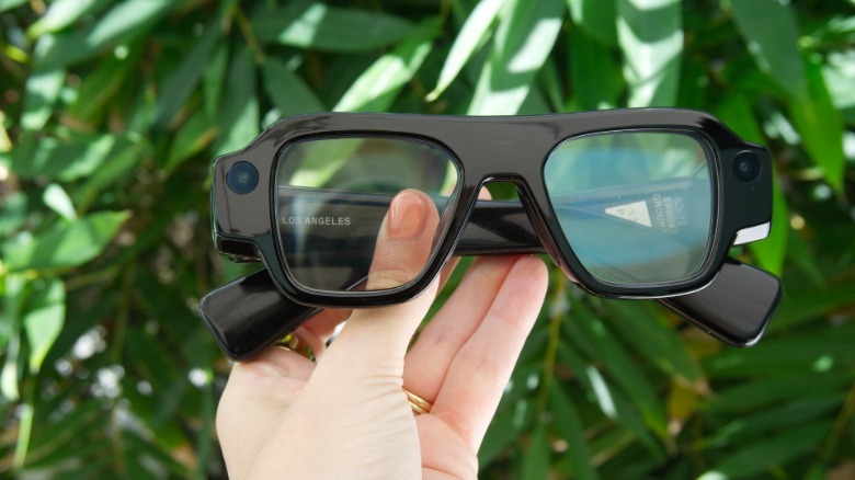 Specs folded with leaves in the background.