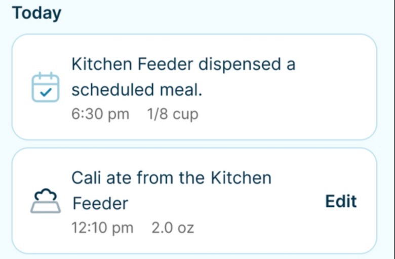 Cat app in action.