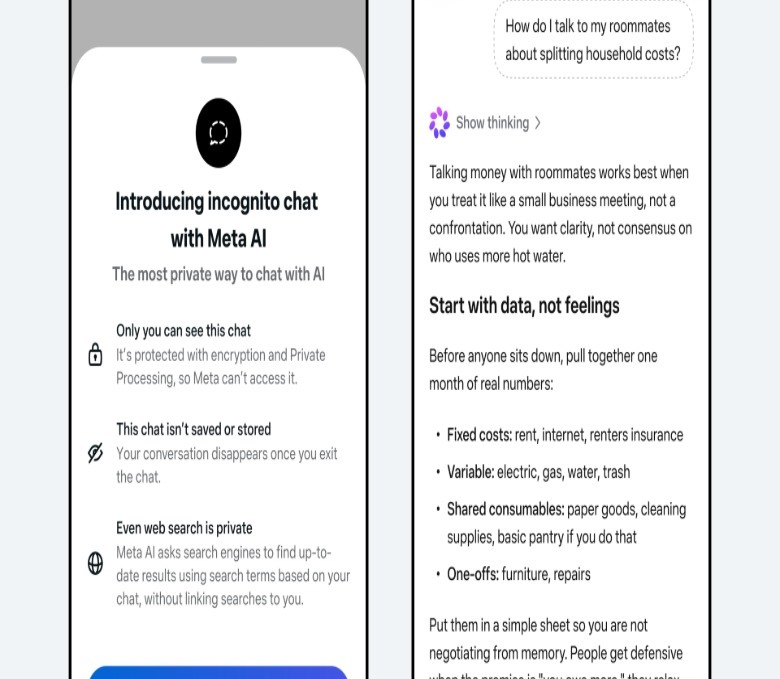 Screenshots of a private chats with meta AI