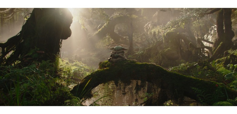 Grogu meditating in a forest.