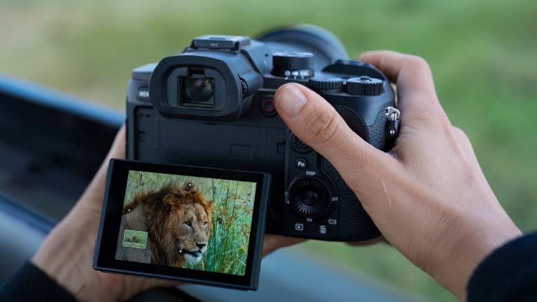 Sony RX10 V camera shown with the screen tilted out